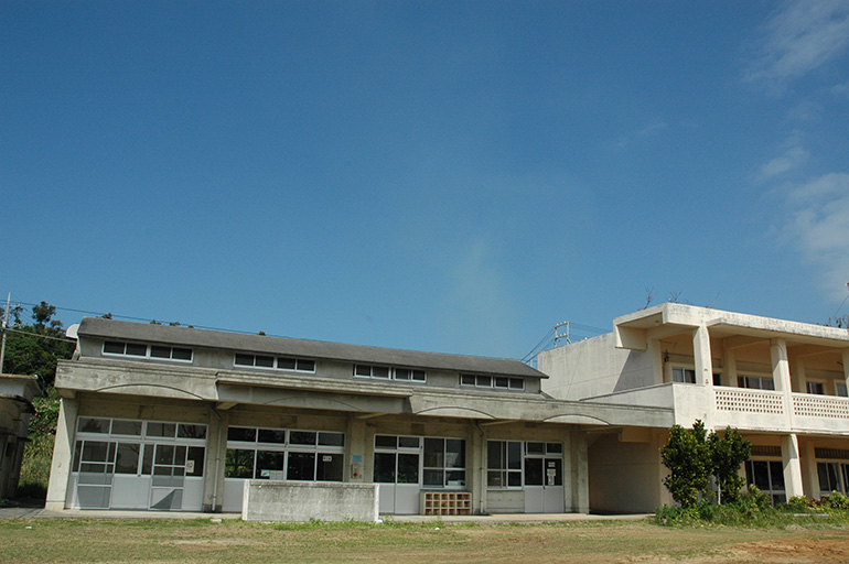 旧古宇利小学校のガジュマル